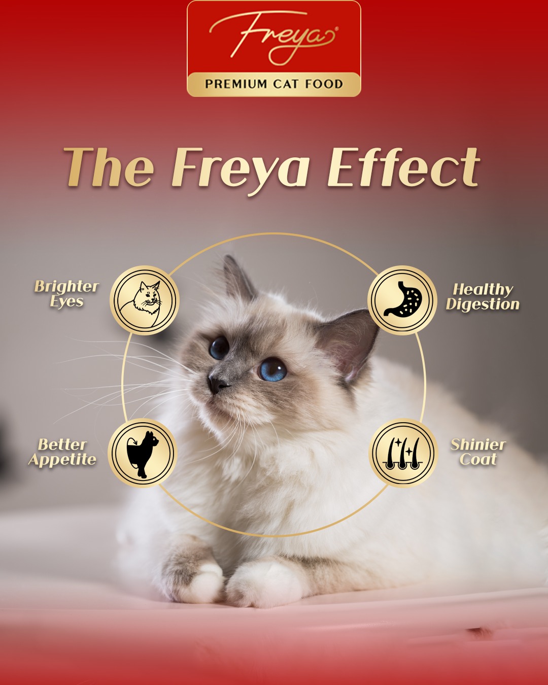 Freya Premium Cat Food Facebook ad