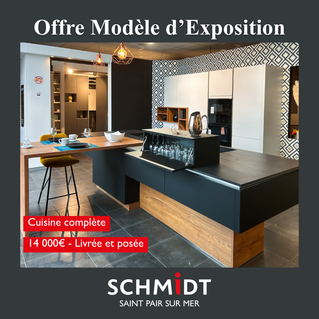 Schmidt Facebook ad: Modèles d'exposition à saisir
