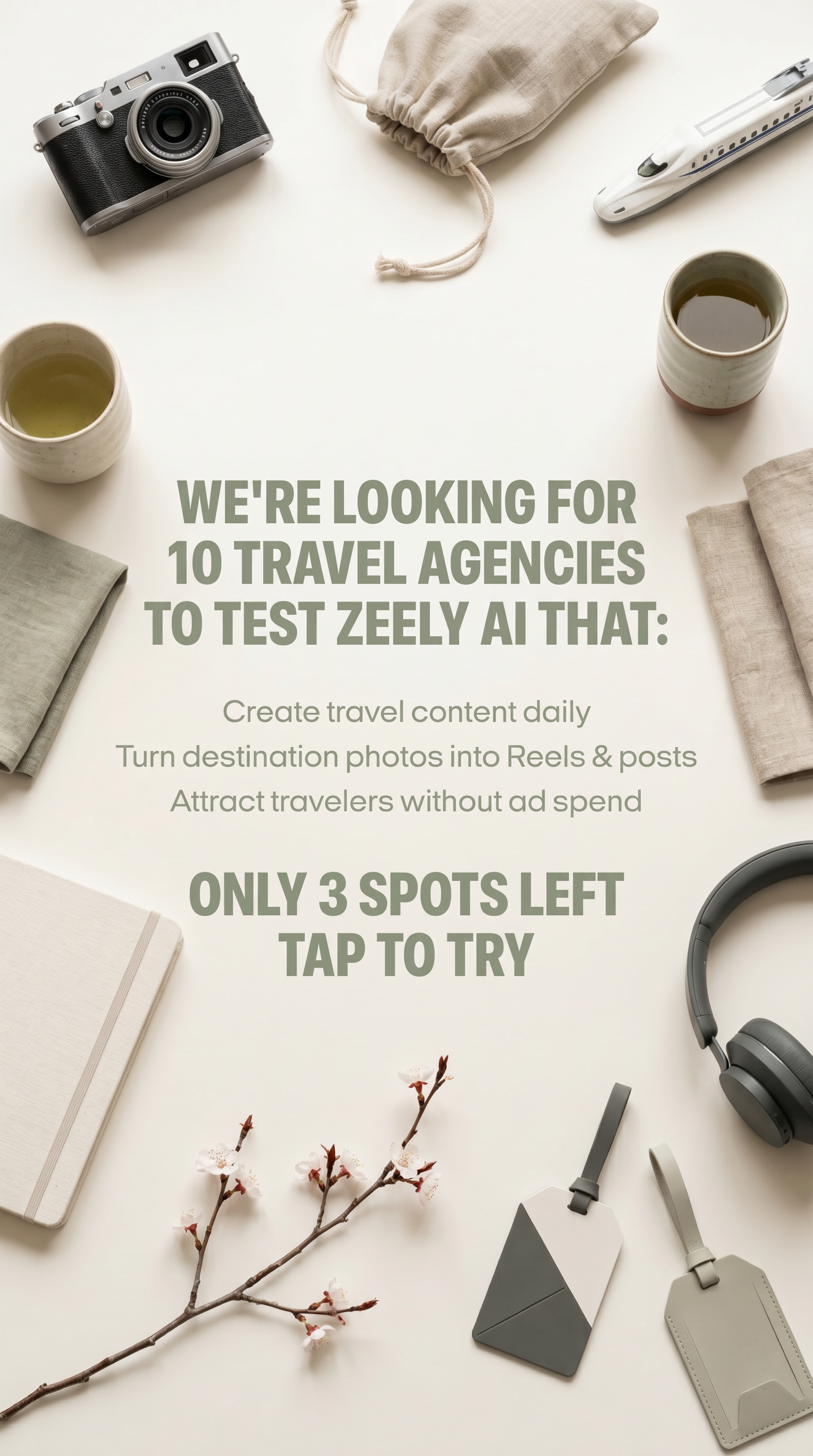 Zeely: AI-Powered Organic Growth Facebook ad: Reach your goal in 3 months with AI!