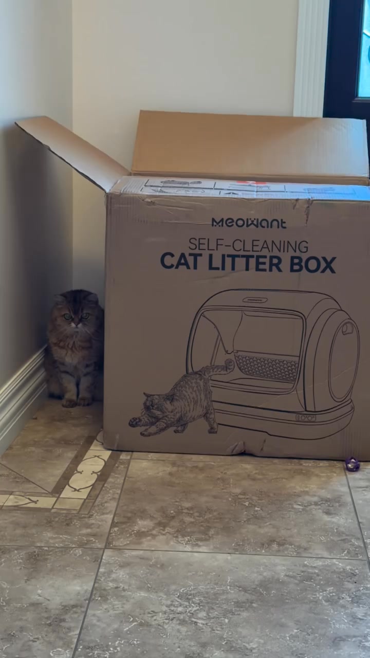 Meowant Facebook ad: Prime Day Special - $340 OFF