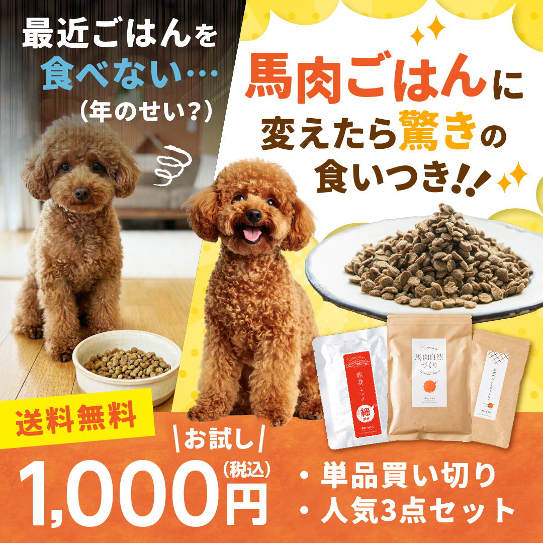 健康いぬ生活 Facebook ad