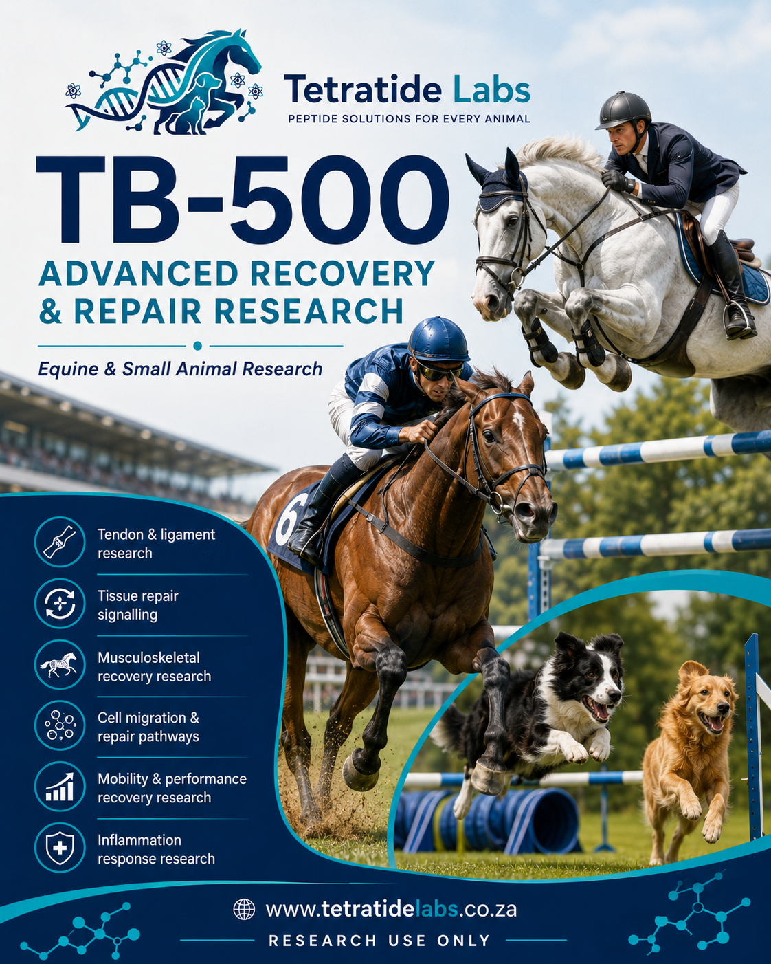 Tetratide Labs Facebook ad: Research peptides, vials and lab accessories for equine…