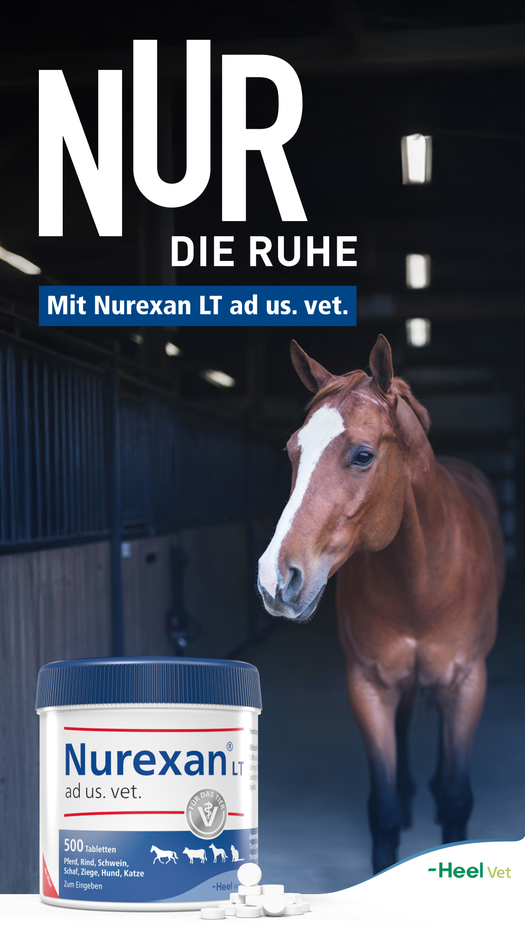 Heel Vet Facebook ad from Jan 5, 2026