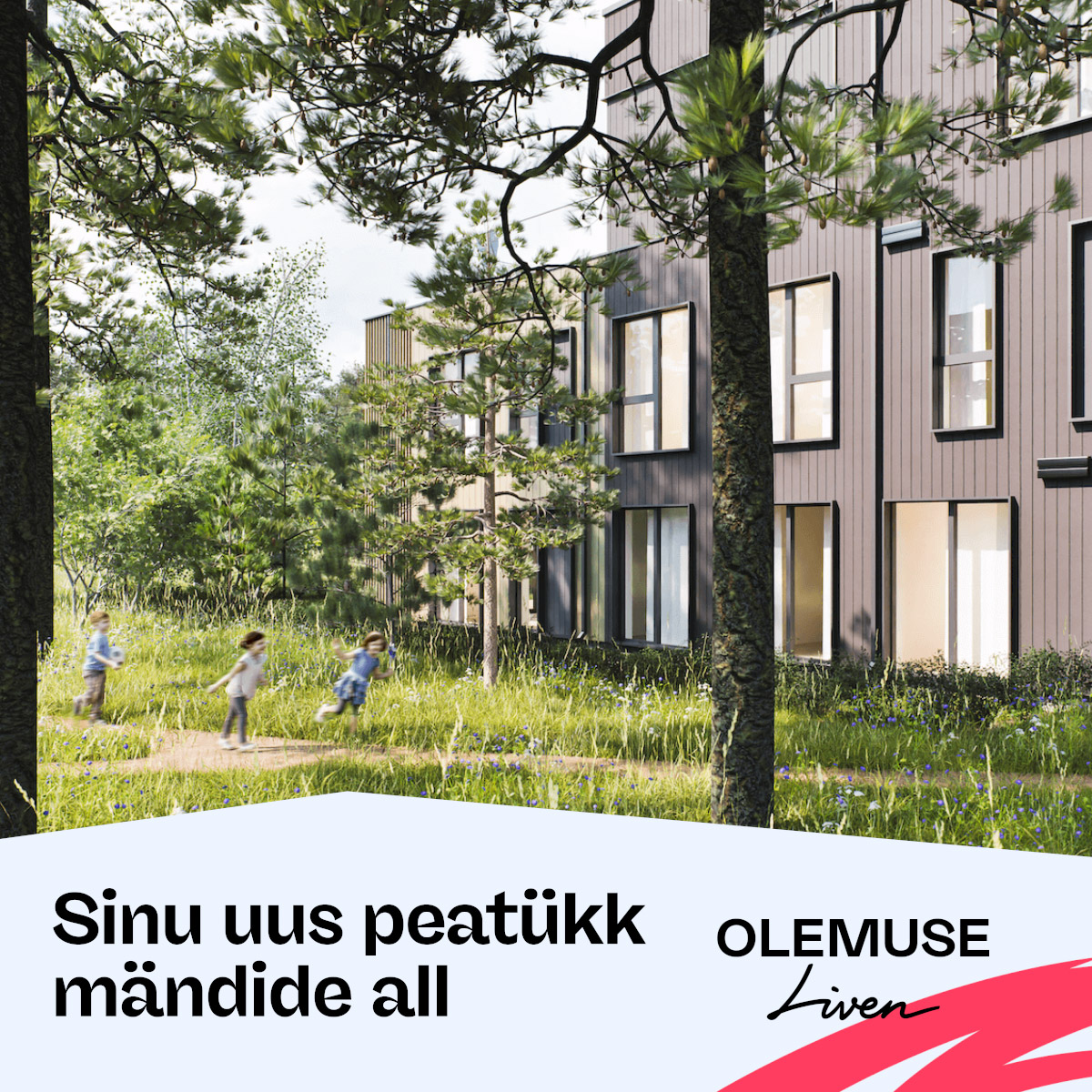 Liven Facebook ad: Avarad kodud metsa veerel, kus kaasaegne elustiil kohtub…
