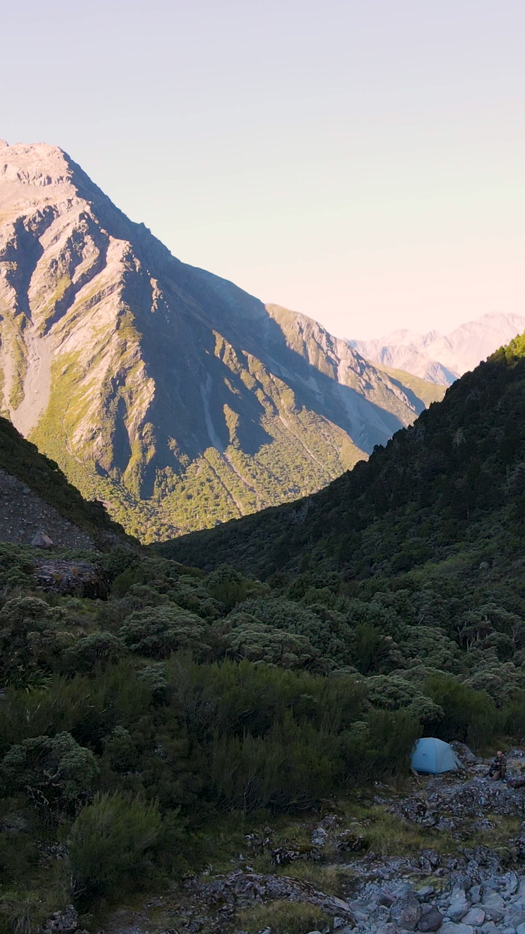 Just Wild NZ Facebook ad: Supercharge Your Energy | 10% Off First Order