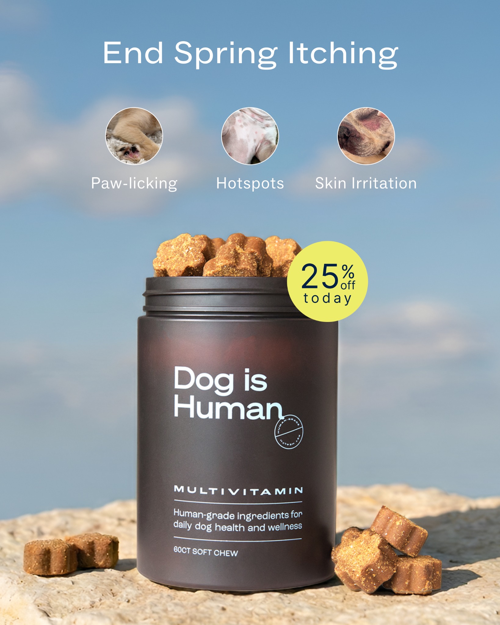 Dog is Human Facebook ad