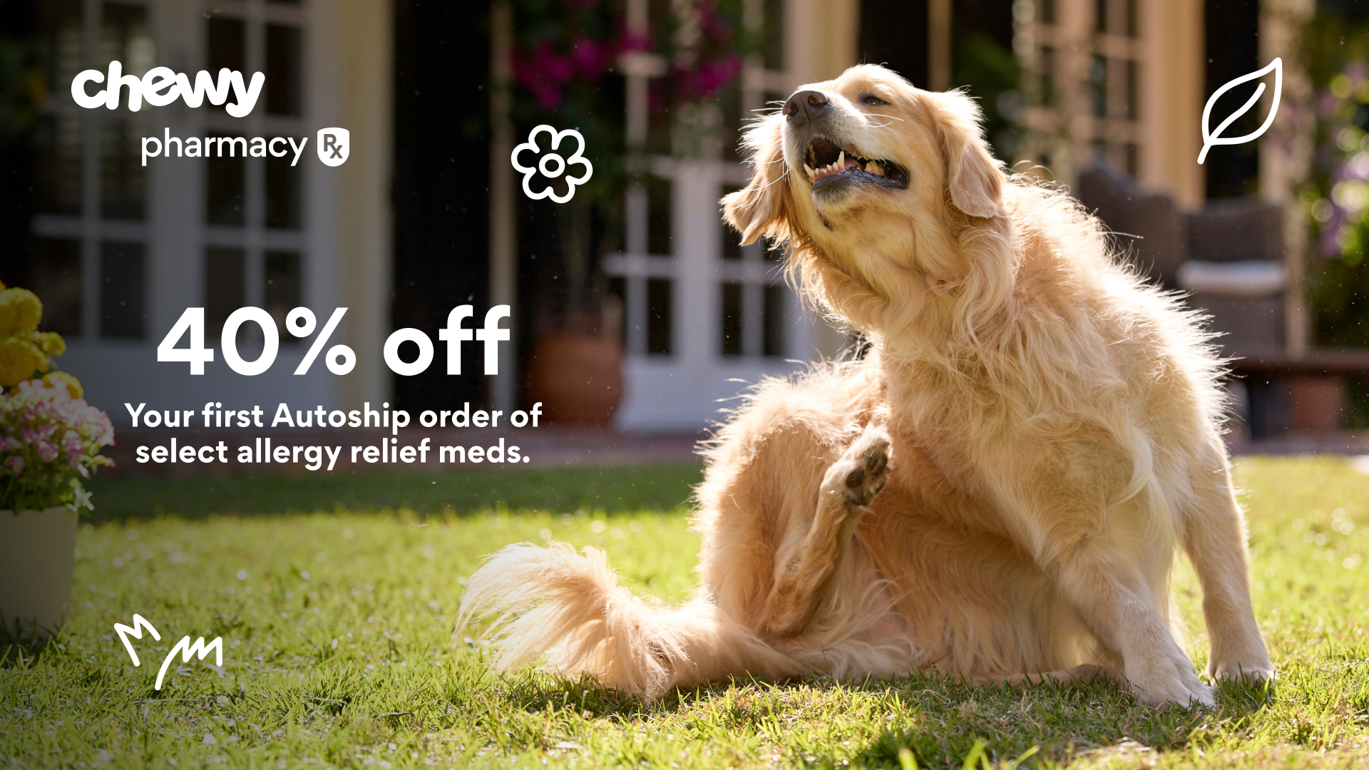 Chewy Facebook ad