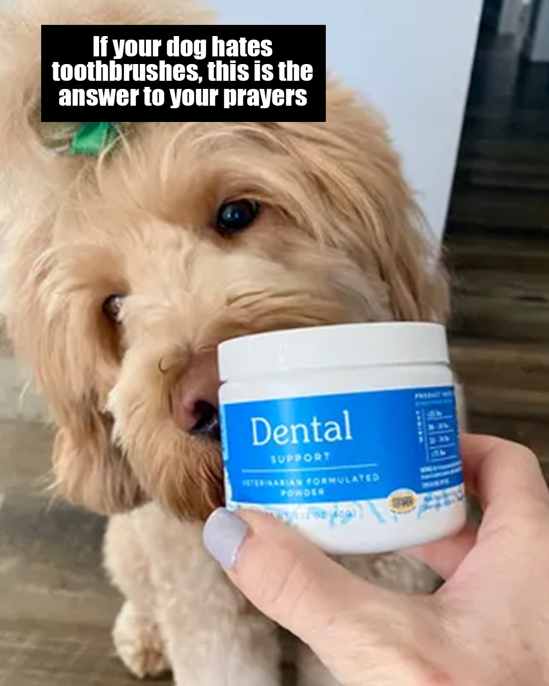 Fera Pets Facebook ad