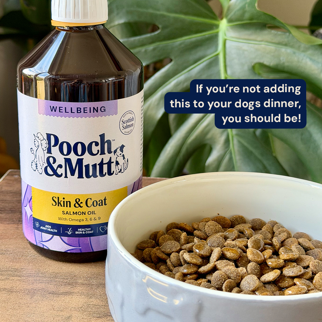Pooch & Mutt Facebook ad: Salmon Oil for Dogs