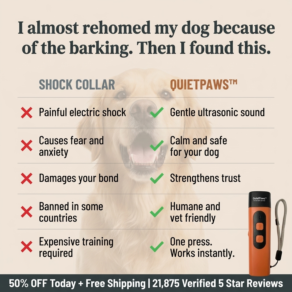 Hunters Doggy Daycare Facebook ad
