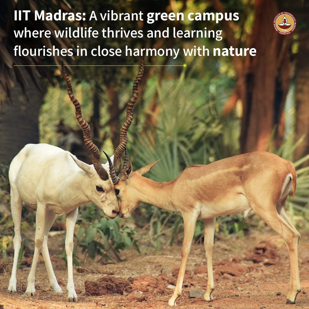 IIT Madras Facebook ad: IT Madras: A vibrant green campus where wildlife…