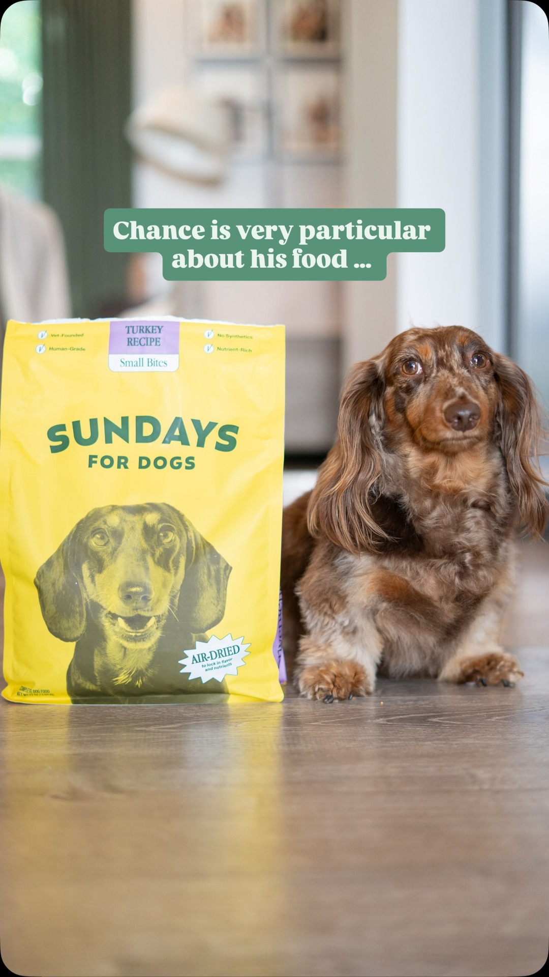 Sundays Facebook ad: Chance will chew anything except his own food