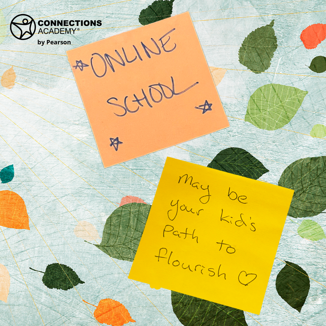 Connections Academy Facebook ad