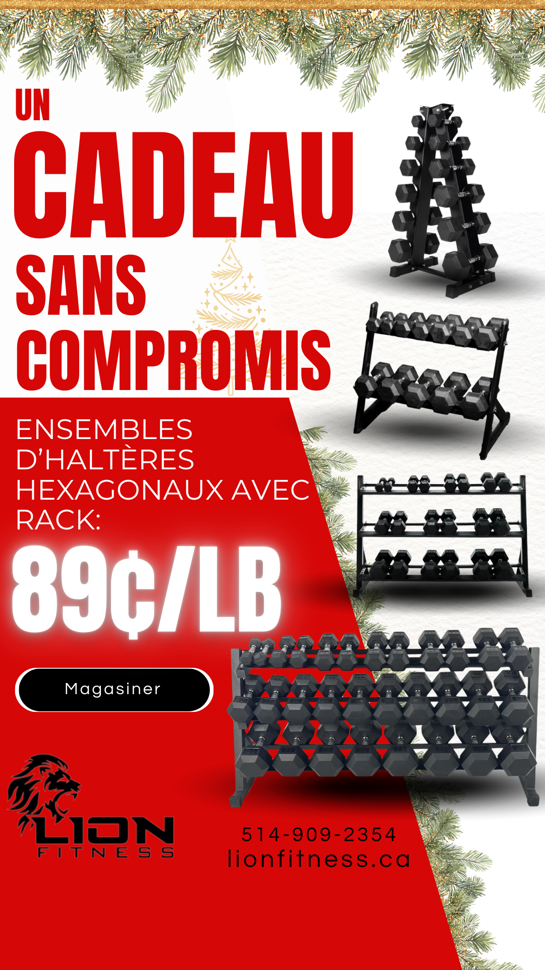 Lion Fitness Facebook ad