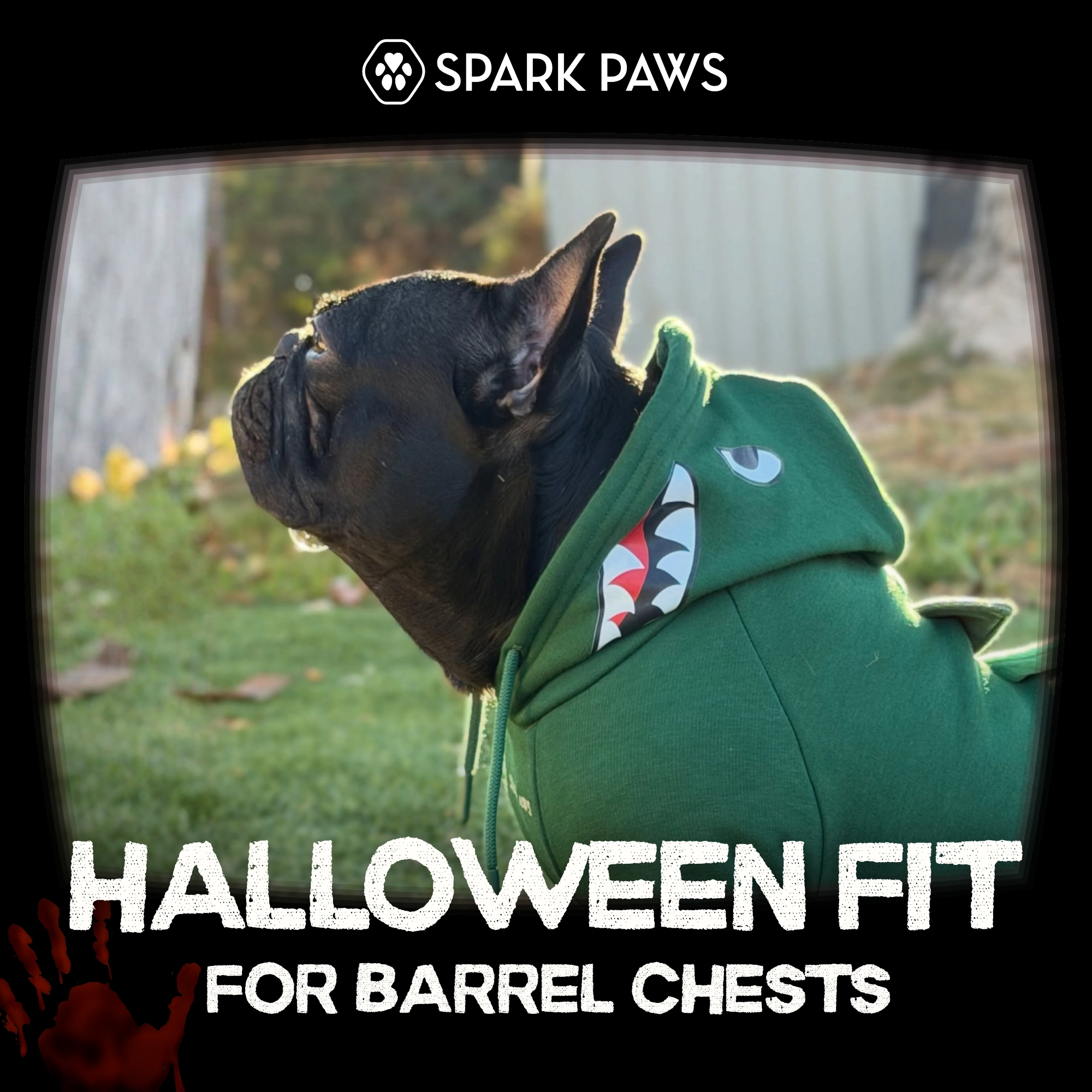Spark Paws Facebook ad