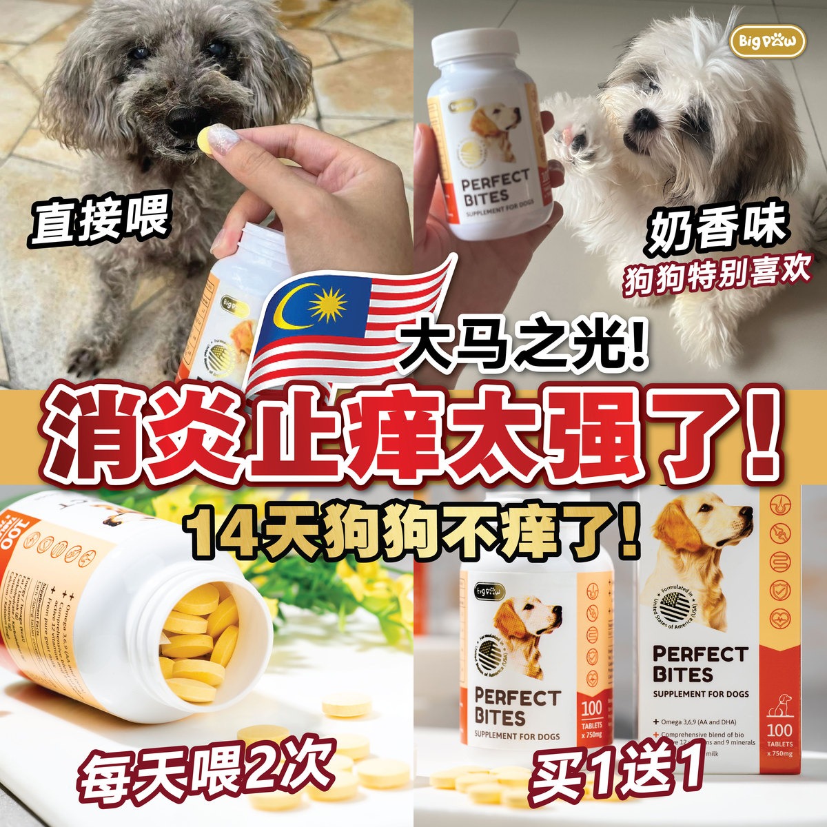 BigPaw 护心宝 Care Facebook ad: 决定不要再让狗狗继续痒了!