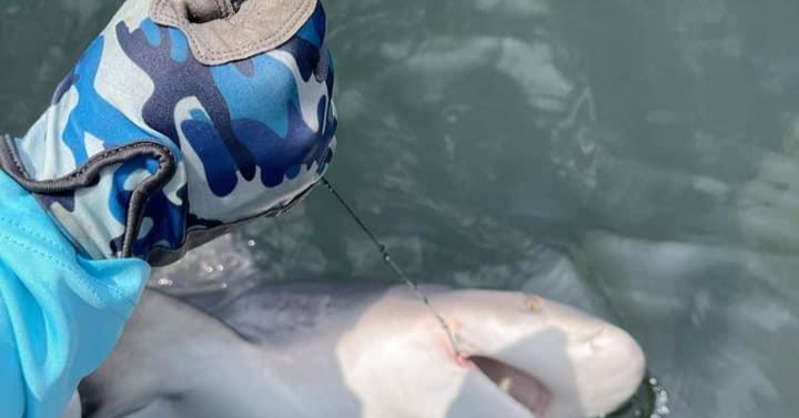 Let’s Go Fishing Charter and Guide Services Facebook ad