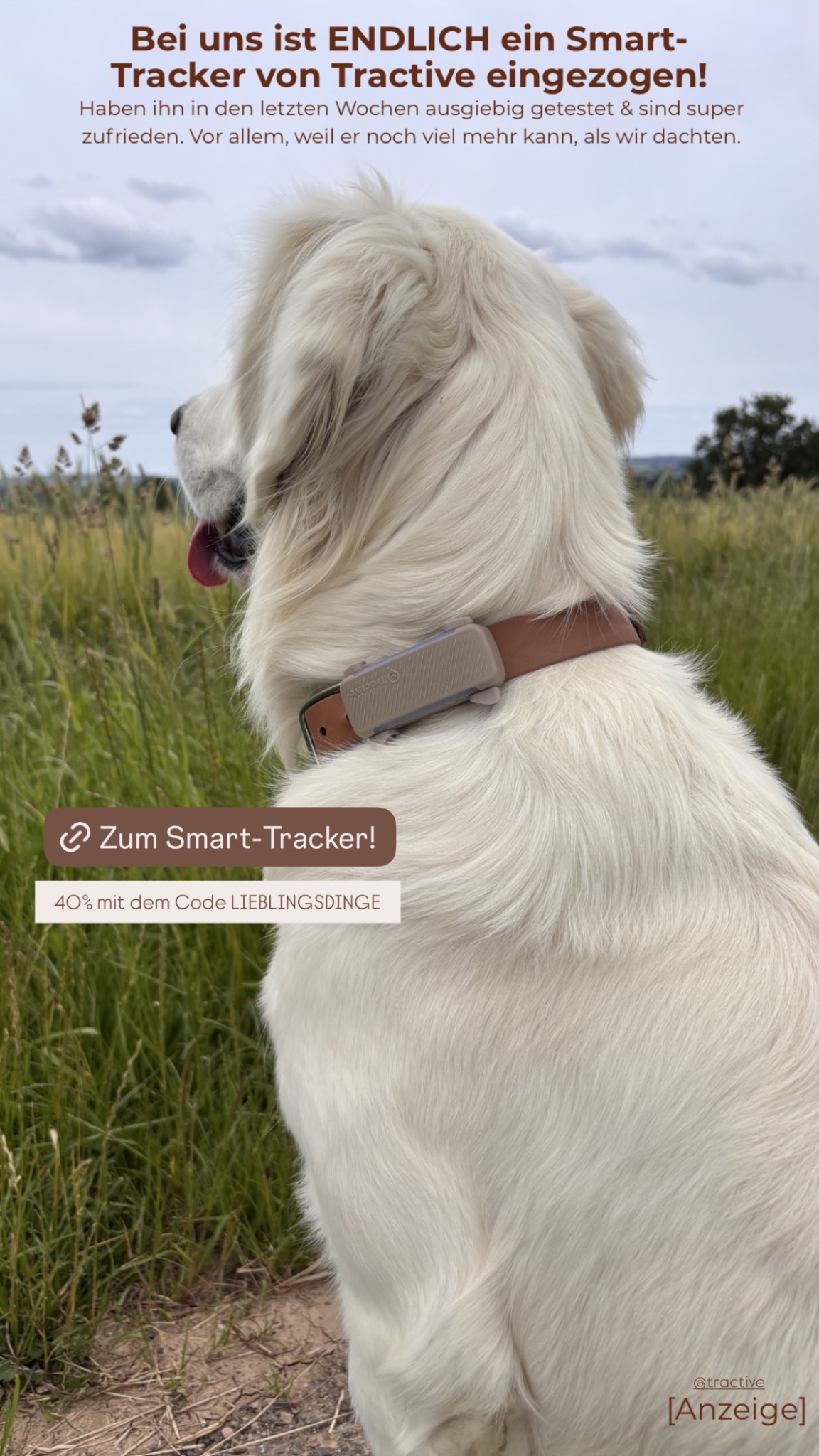 Tractive Facebook ad