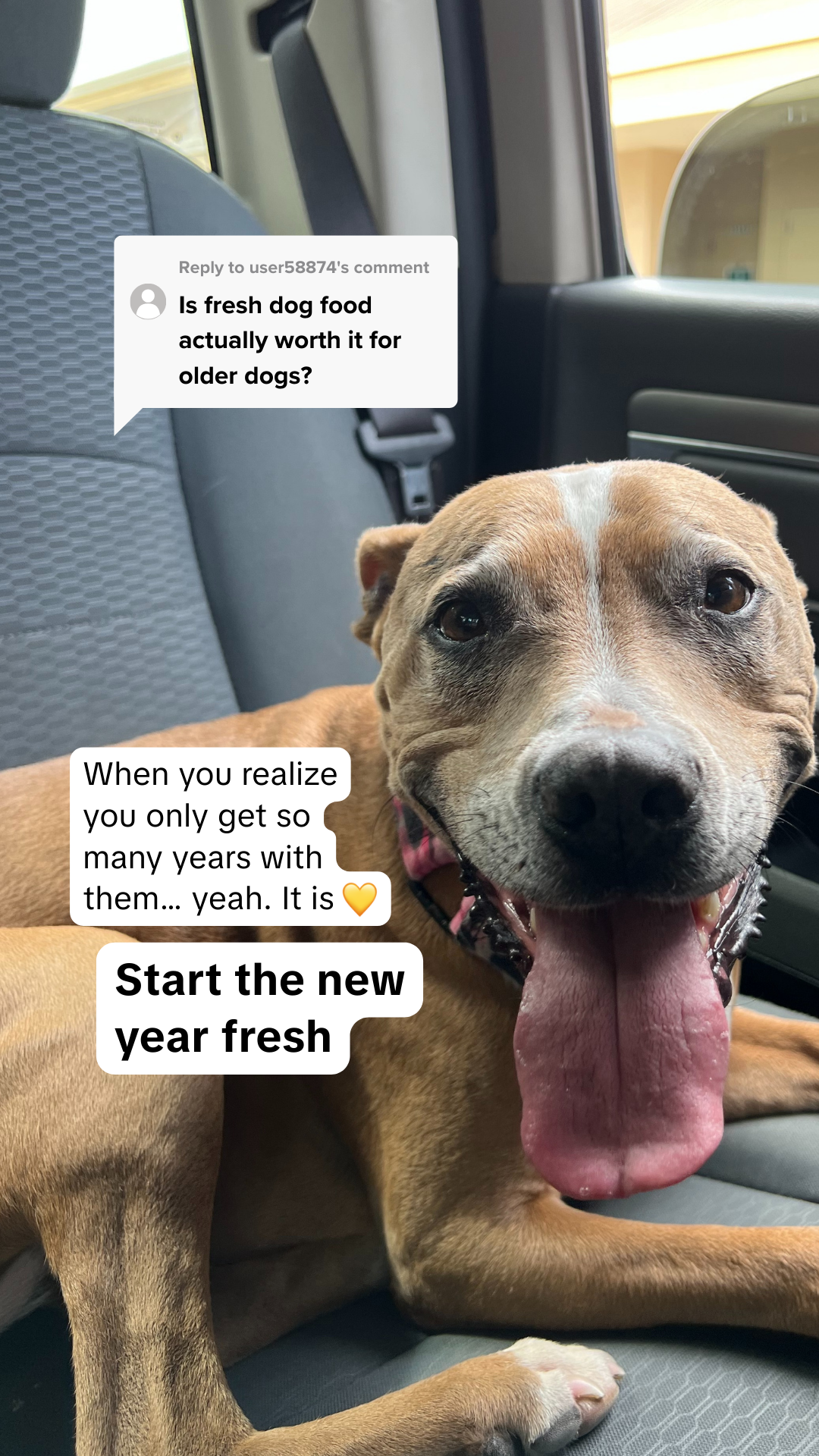 Rounds Of A Paws Facebook ad