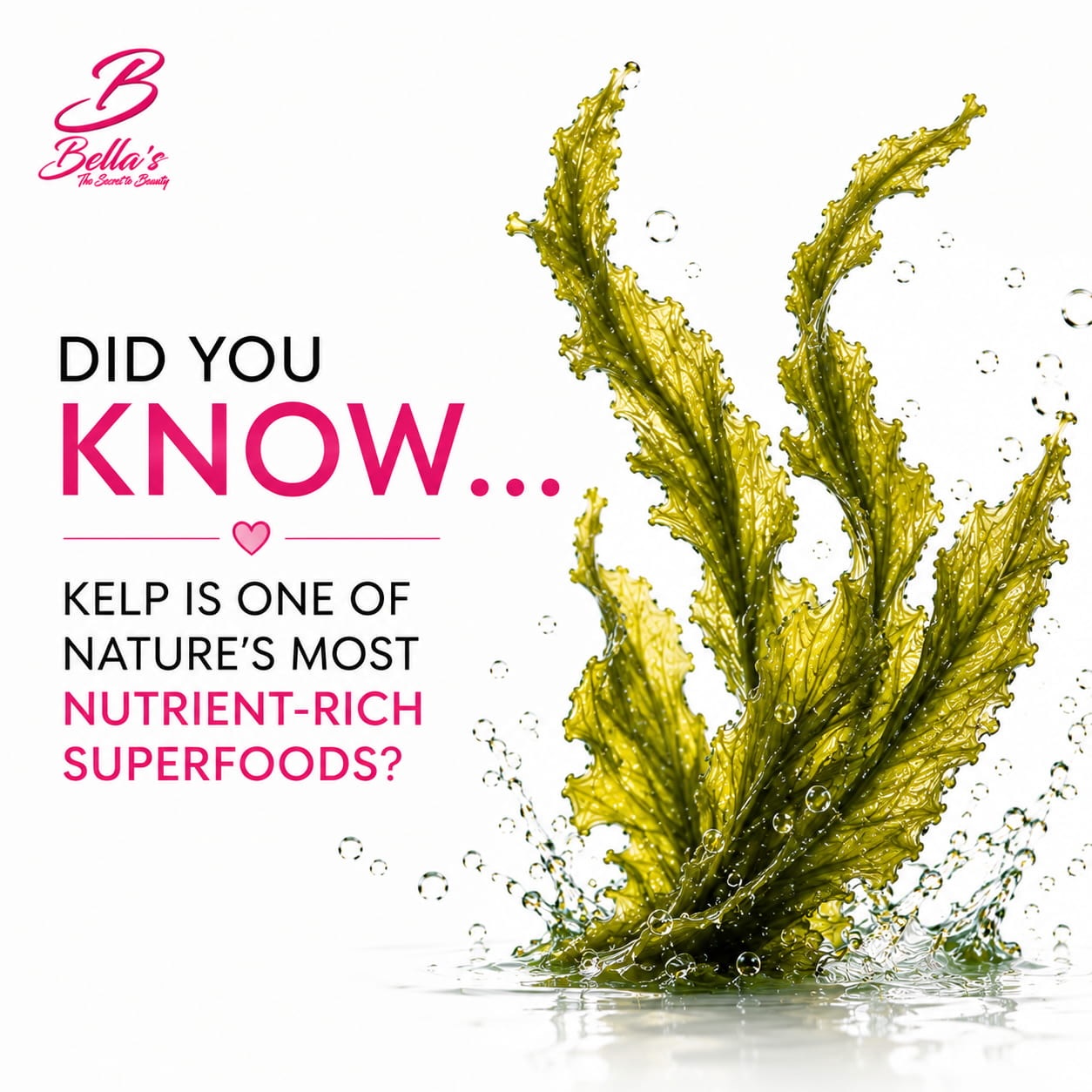 Bella's Beauty & Holly's Hair Growth Products South Africa Facebook ad: There’s more to kelp than you think
