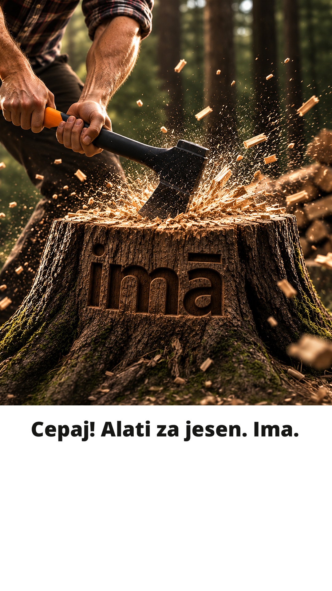 Ananas.rs Facebook ad: Alat za ogrev i jesenje aktivnosti? Ima.