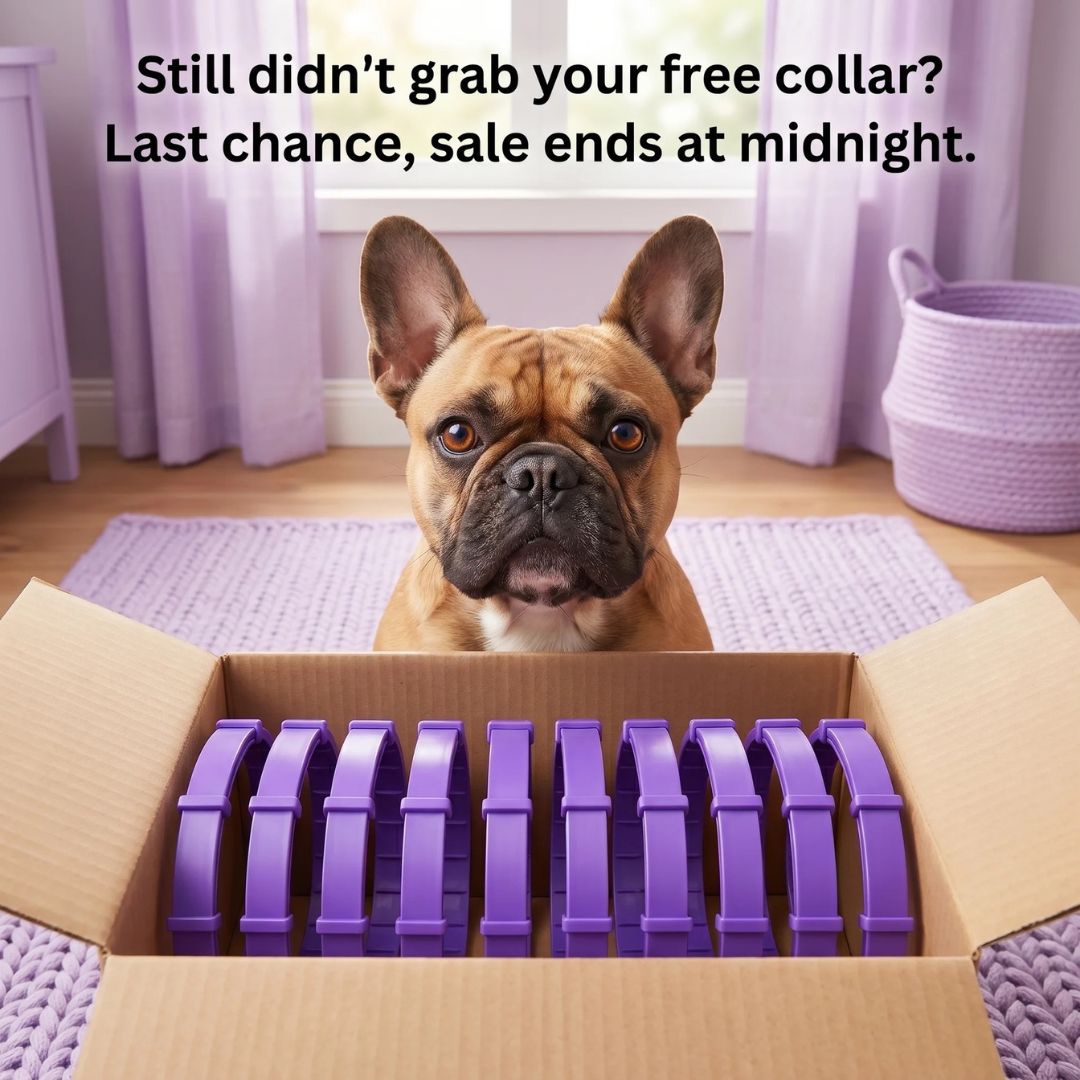 PawLax Facebook ad
