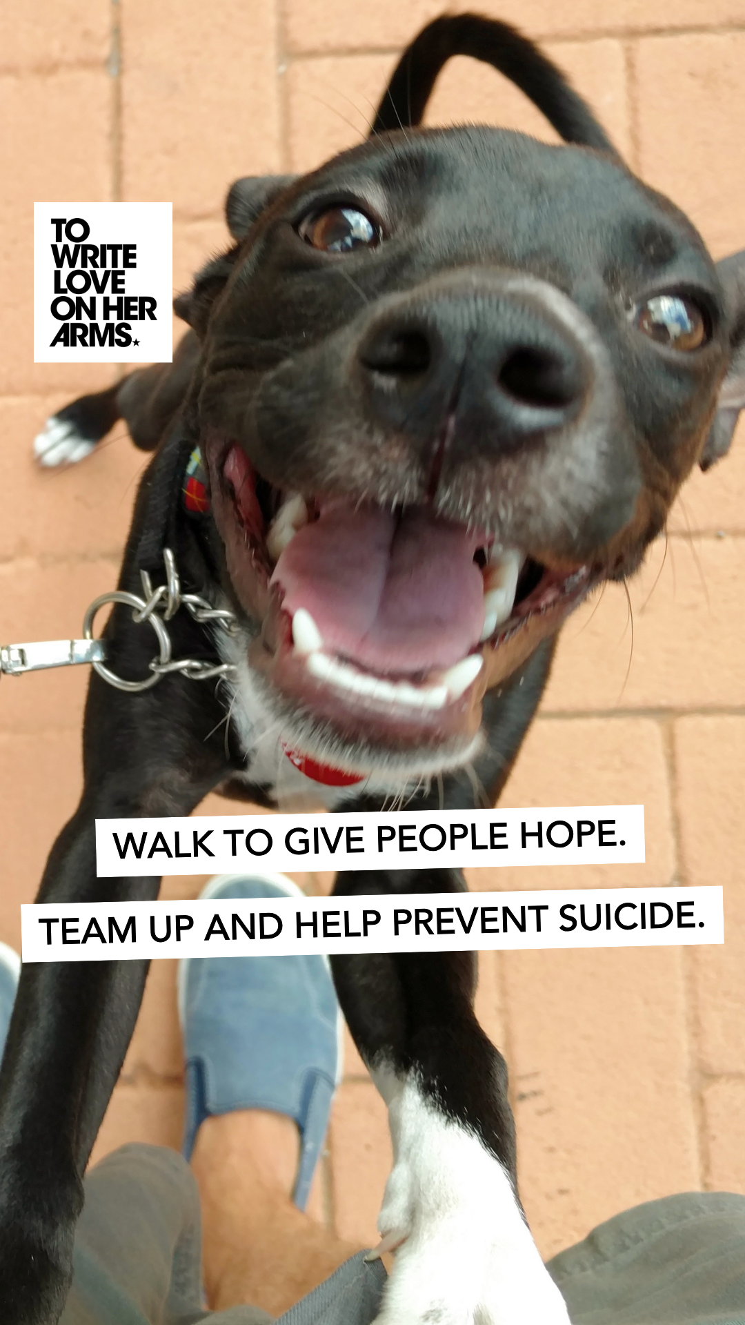 To Write Love On Her Arms. Facebook ad: Walk 1 mile a day with your dog.