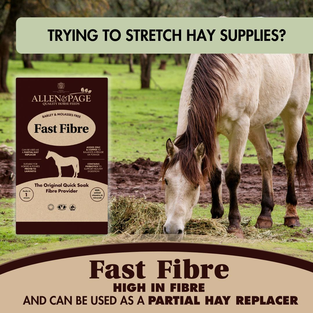Allen & Page Horse Feeds Facebook ad: Spring grass, rising weight?