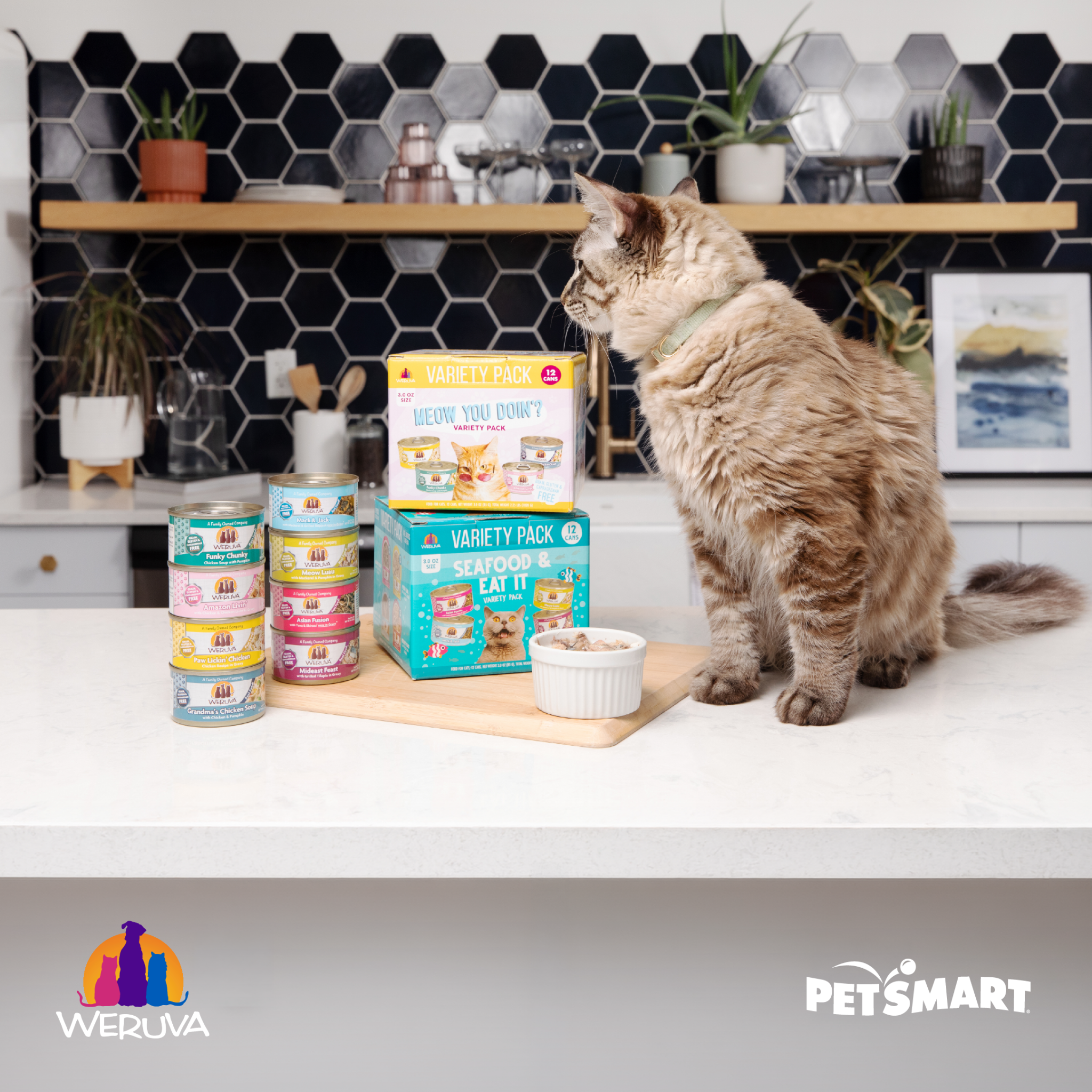 PetSmart Facebook ad from Jul 20, 2026