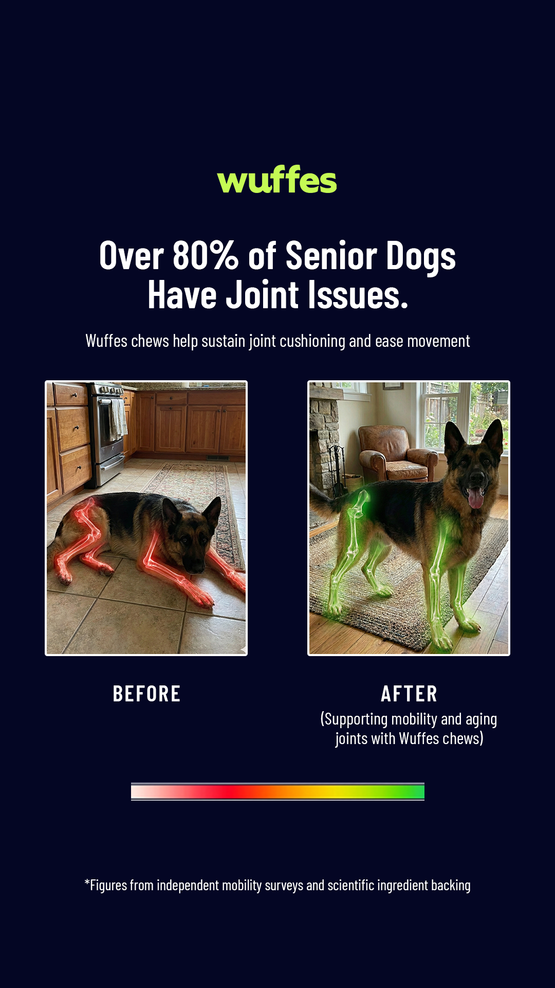 Everyday Pet Health Facebook ad
