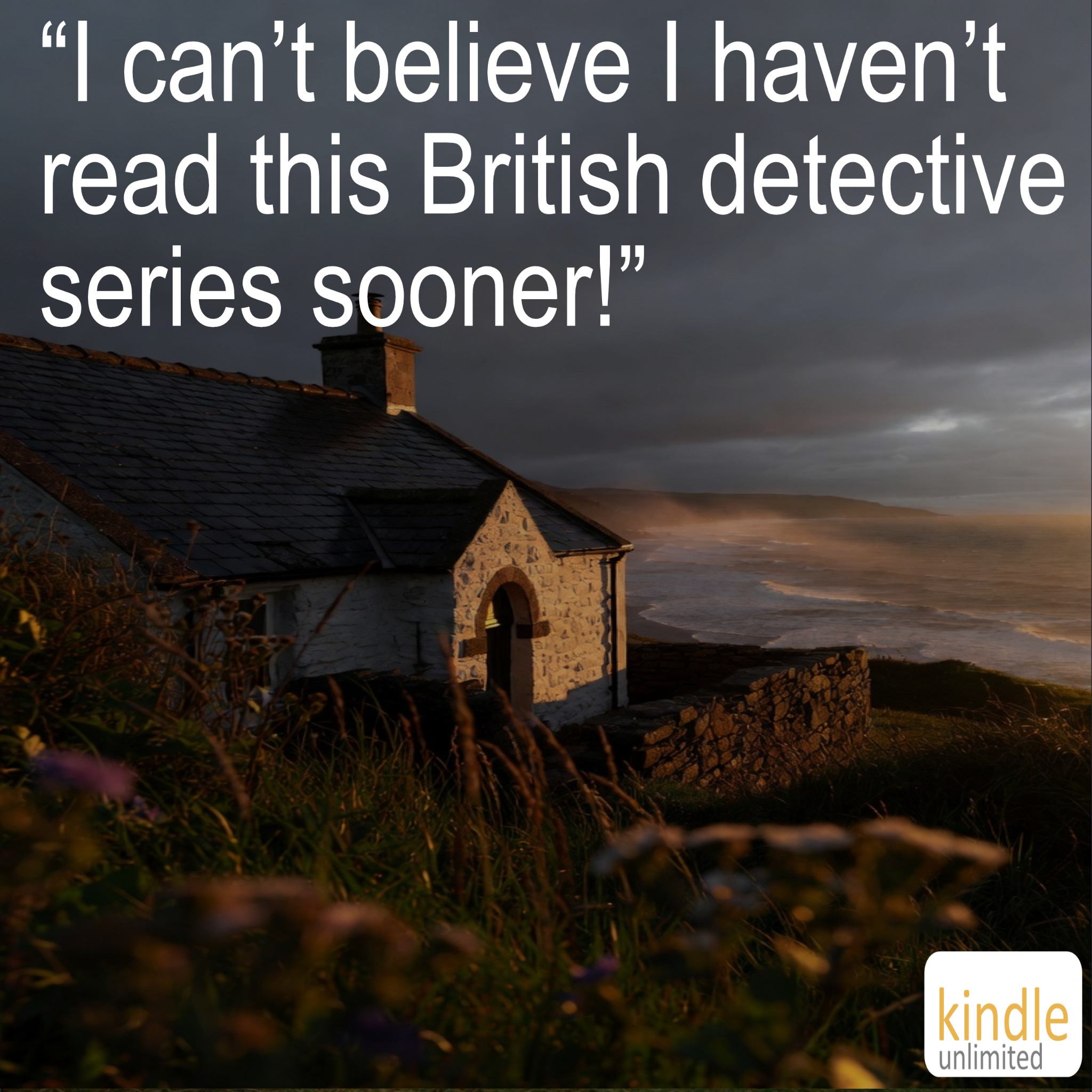 NC Lewis - Author Facebook ad
