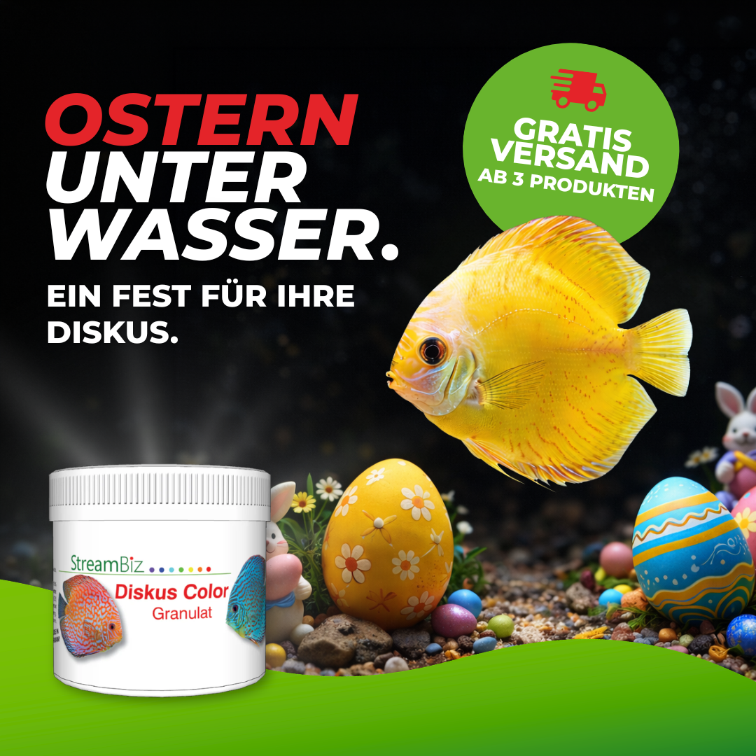 StreamBiz Facebook ad: Große Neuigkeiten: super Angebot!