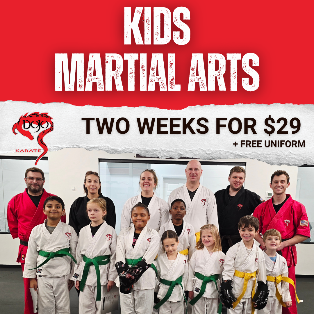 Dojo Karate Eden Prairie  Facebook ad