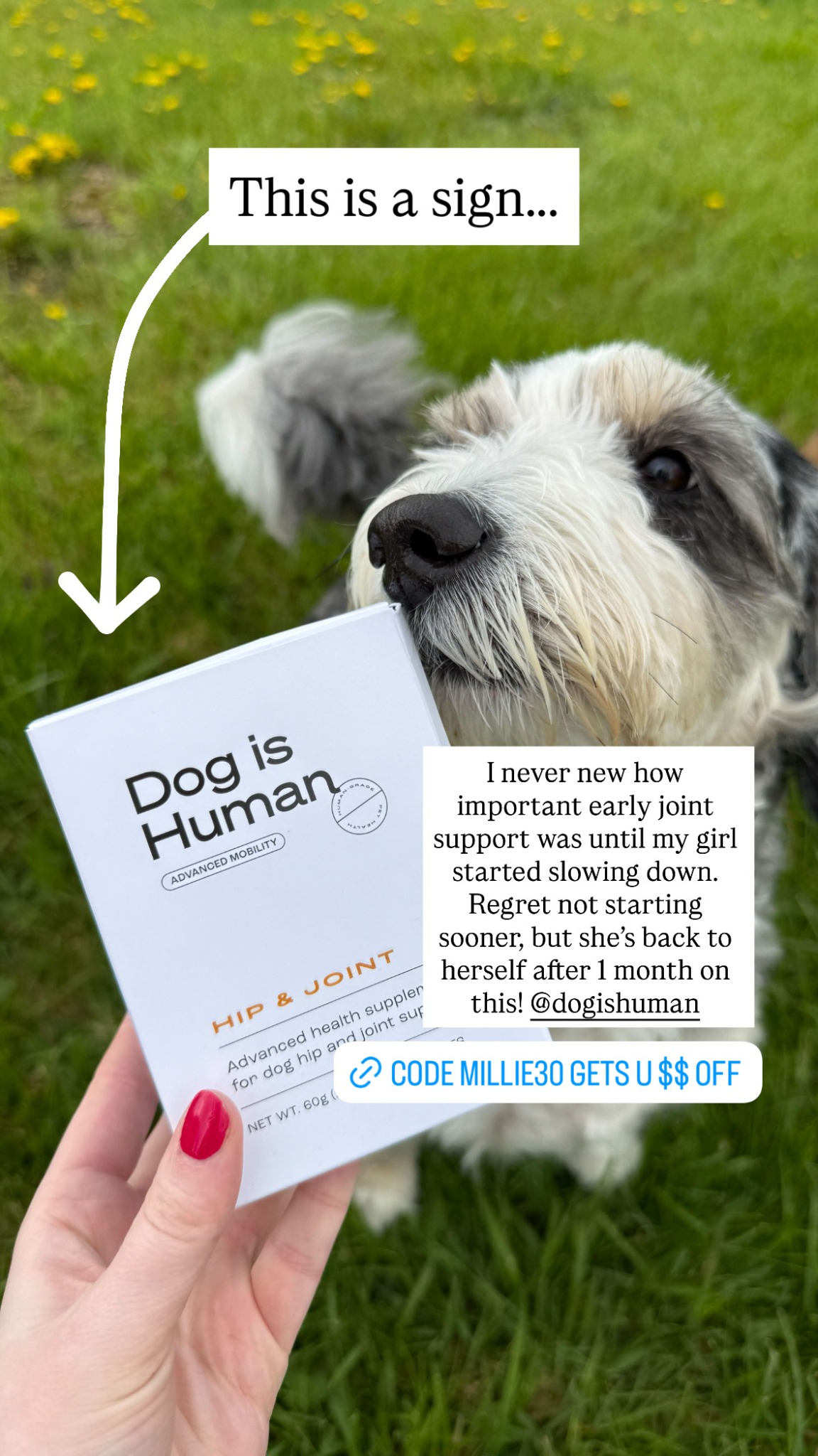 Dog is Human Facebook ad