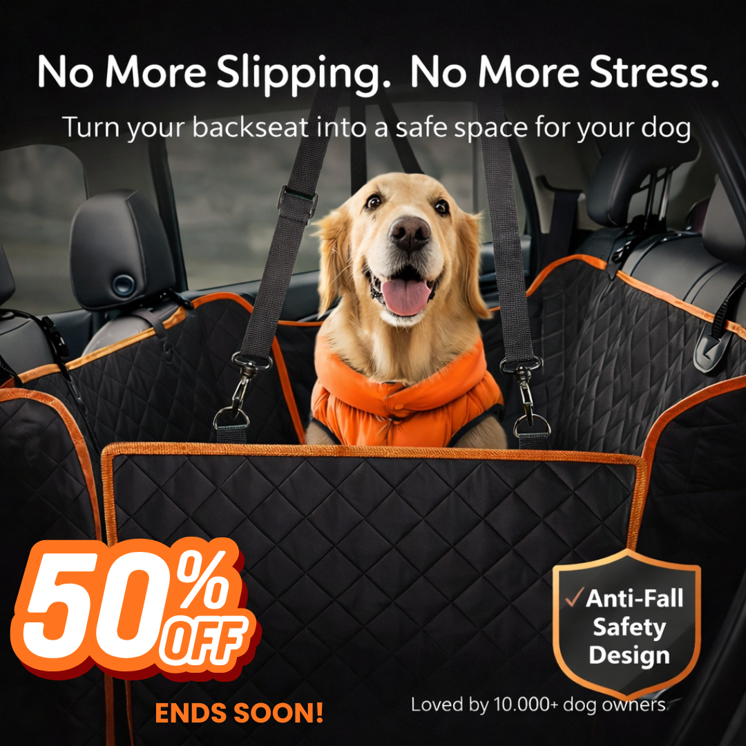 PawsonBoard Facebook ad: 50% OFF TODAY, Make Car Rides Stress-Free For You & Your Dog
