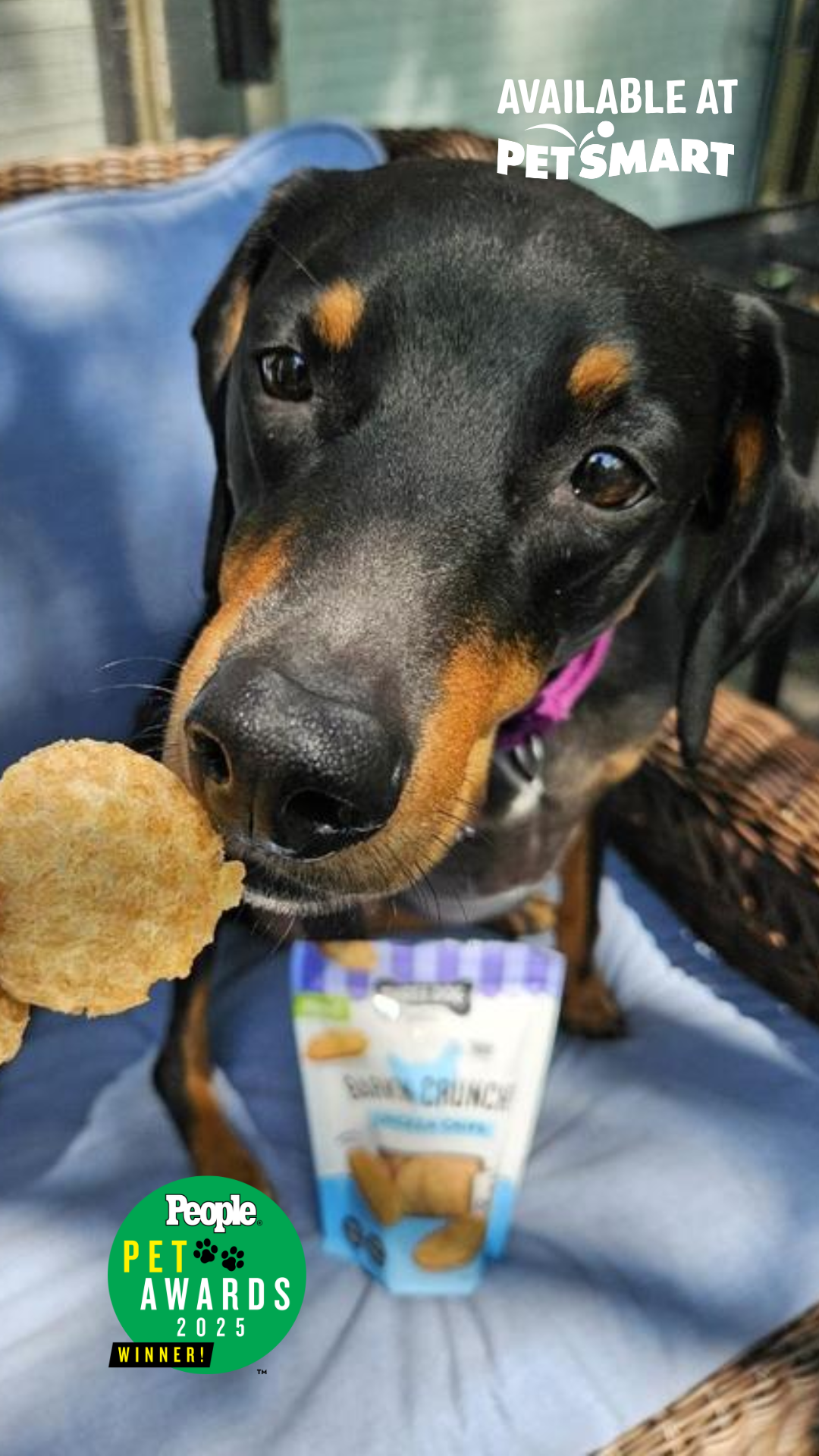 Three Dog Bakery Facebook ad