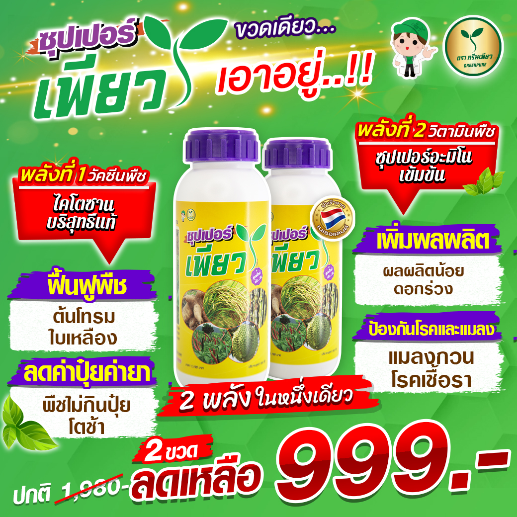 บำรุงพืช อาหารเสริมพืช ซุปเปอร์เพียว ลดต้นทุน เพิ่มผลผลิต อันดับ 1 Facebook ad: เพลี้ยกินใบ หนอนเจาะยอด แมลงกัดผล เชื้อราระบาด