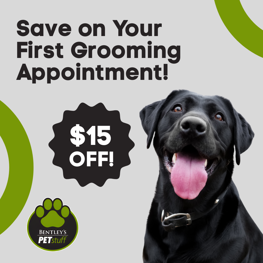 Bentley's Pet Stuff & Grooming Schaumburg Facebook ad