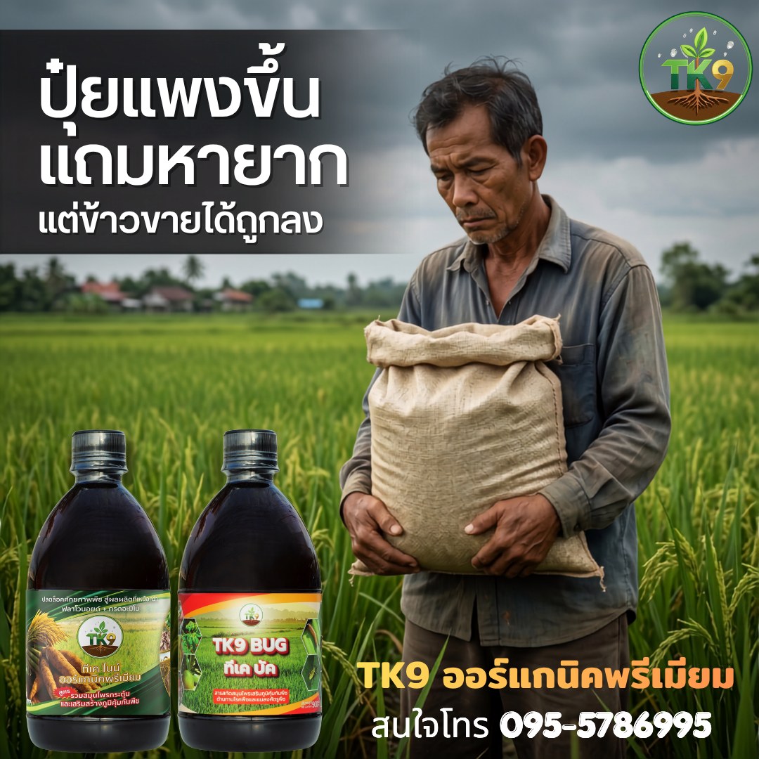 Tk9 นวัตกรรมสารสกัด เพิ่มผลผลิต เร่งโต เสริมสร้างภูมิคุ้มกันพืชในขวดเดียว Facebook ad: ไปถึงร้านปุ๋ย เจอป้าย ของหมด แปะหน้าร้าน