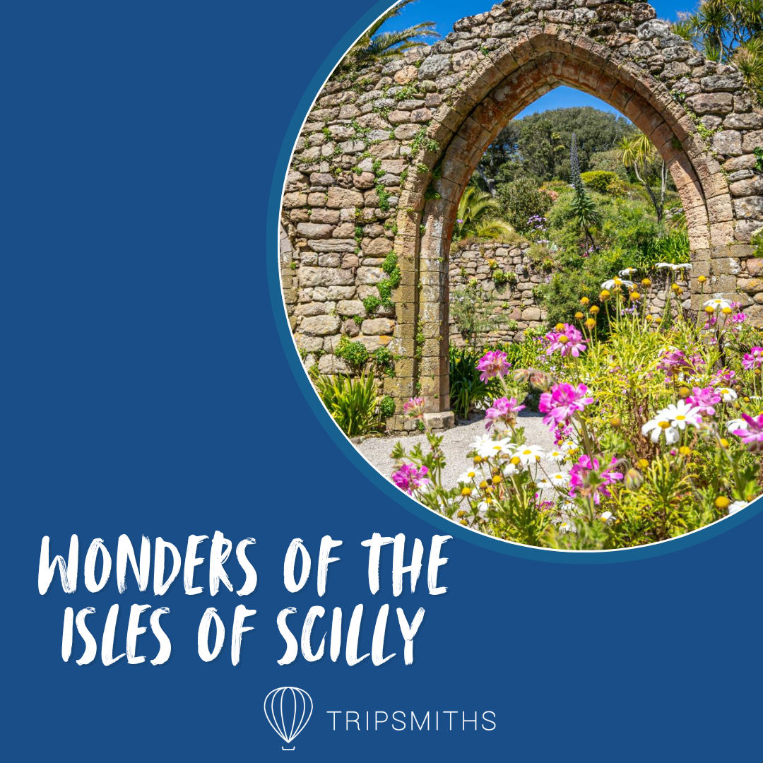 Tripsmiths Facebook ad: Join wildlife expert Julian Branscombe on an unforgettable…