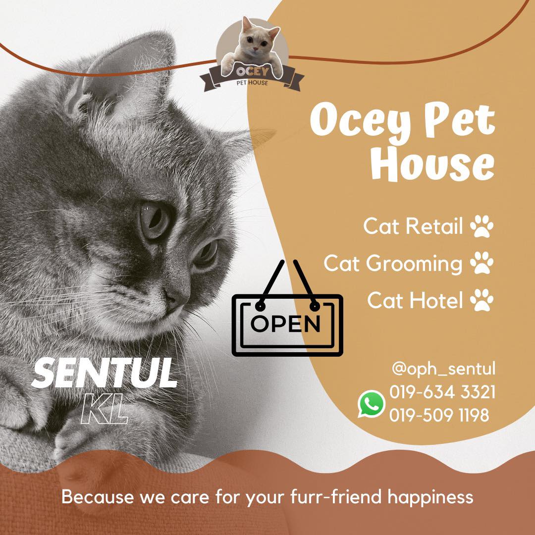 Ocey Pet House Sentul KL Facebook ad