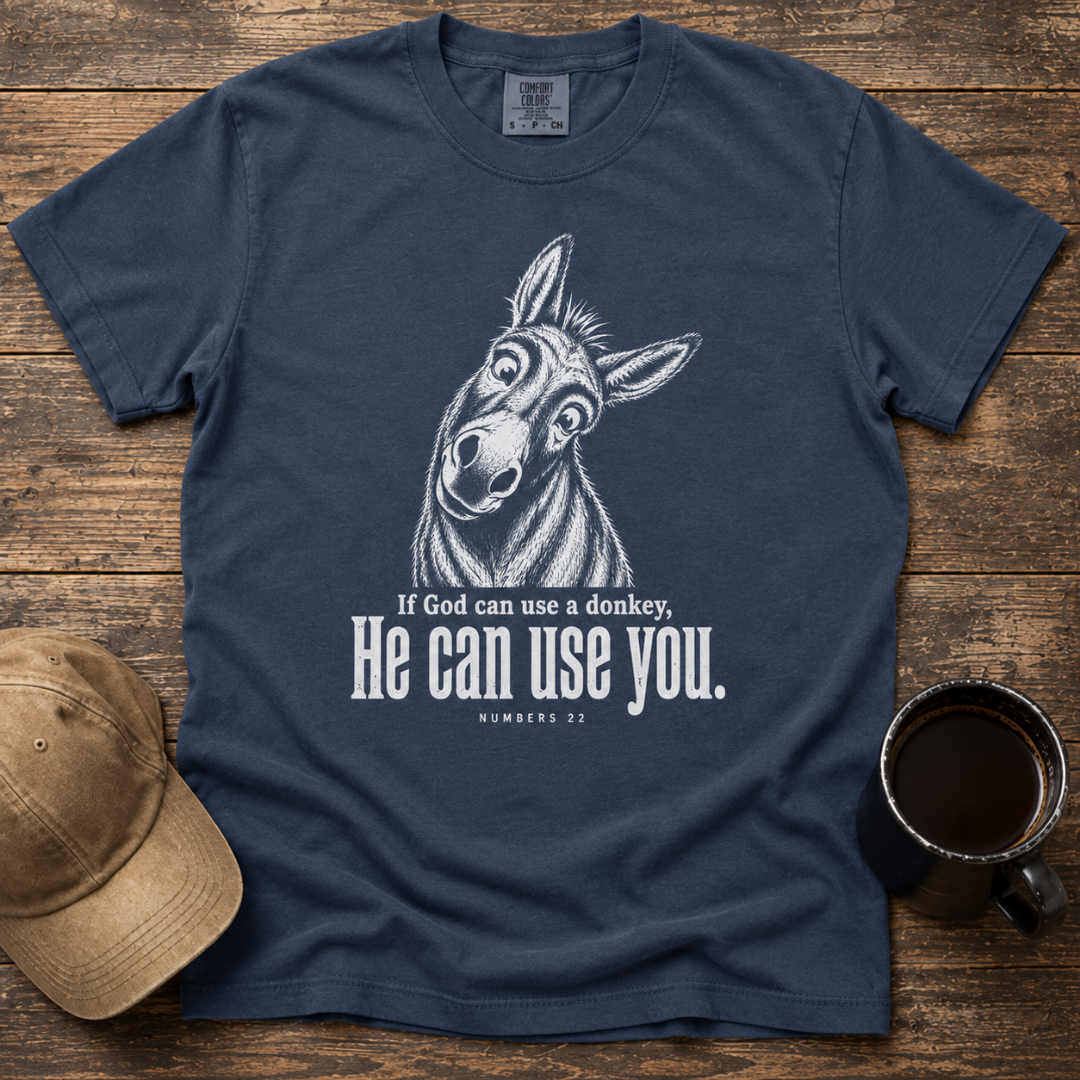 FaithWise + Co Facebook ad