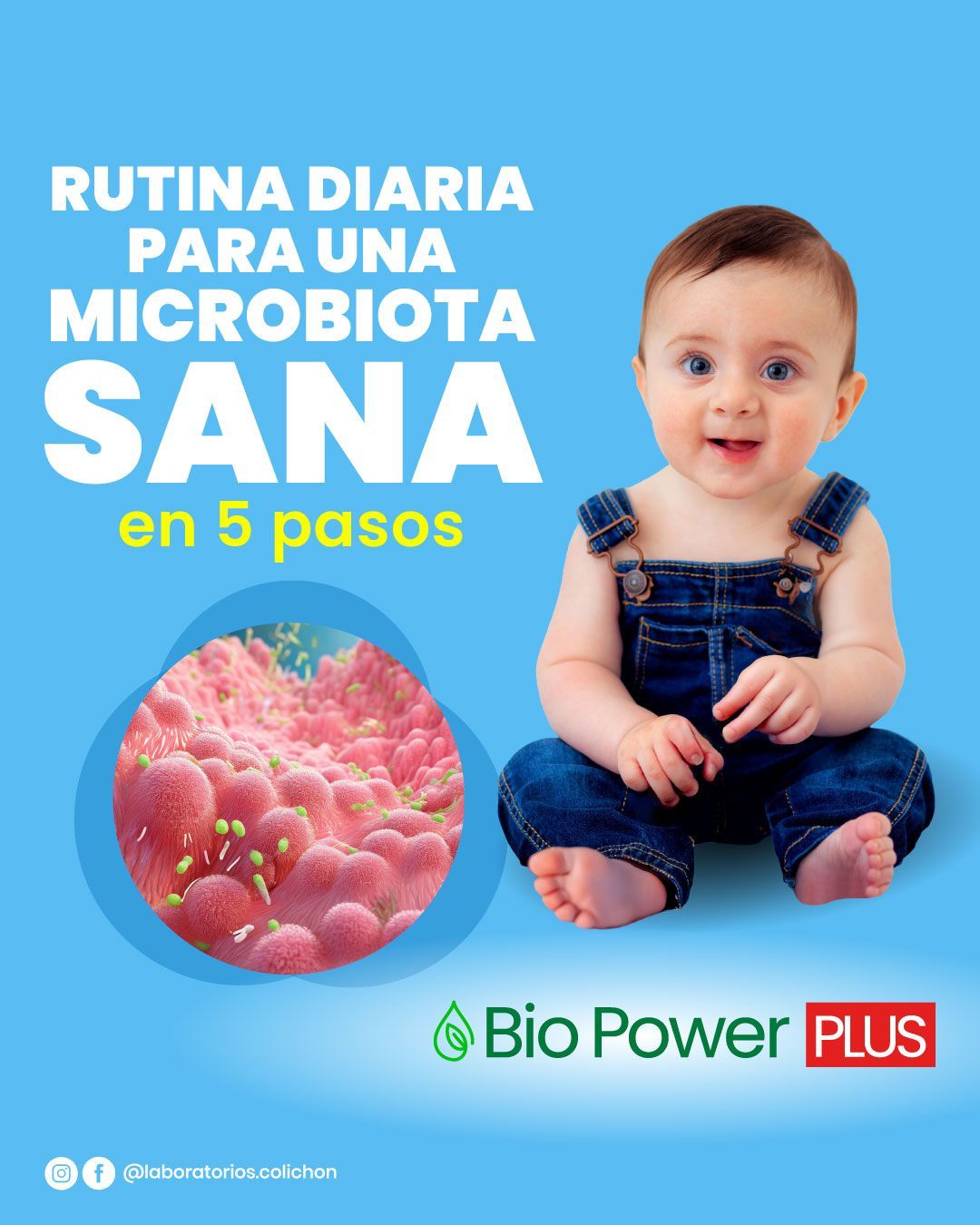 Laboratorios LMB H. Colichon Facebook ad: Home - LaboratorioColichon