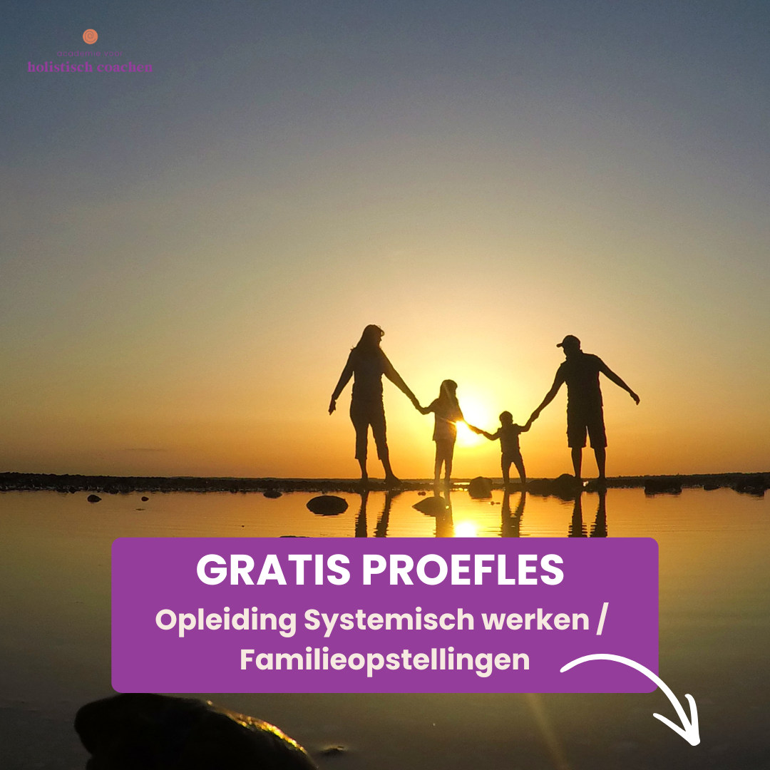 Academie voor Holistisch Coachen Facebook ad