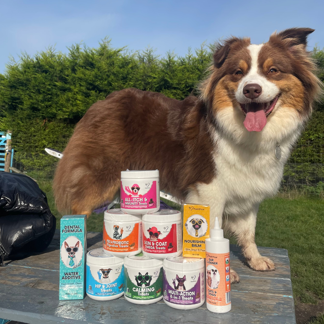 Nutri Paw Facebook ad