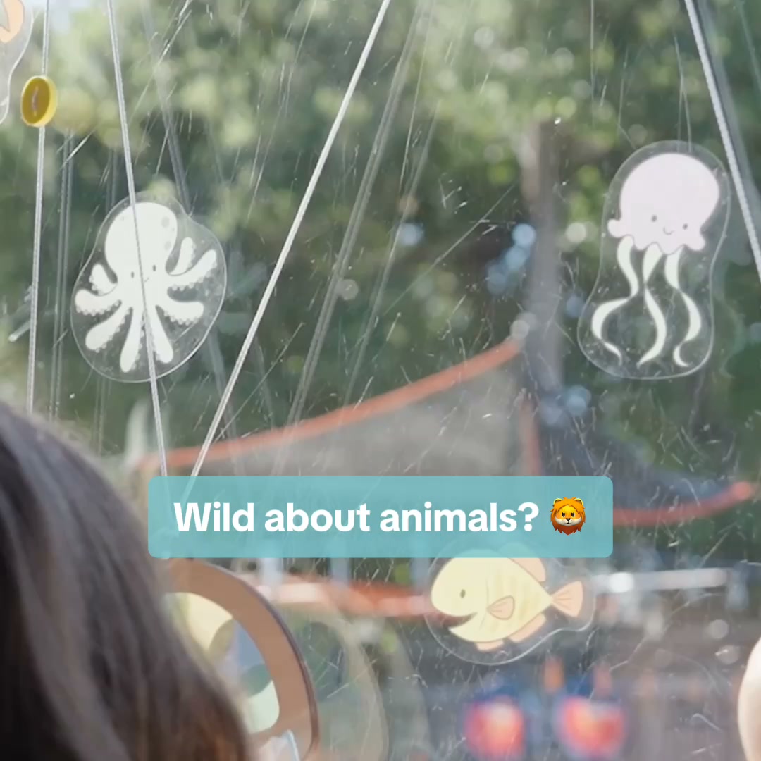 KiwiCo Facebook ad: Discover Koala Crate