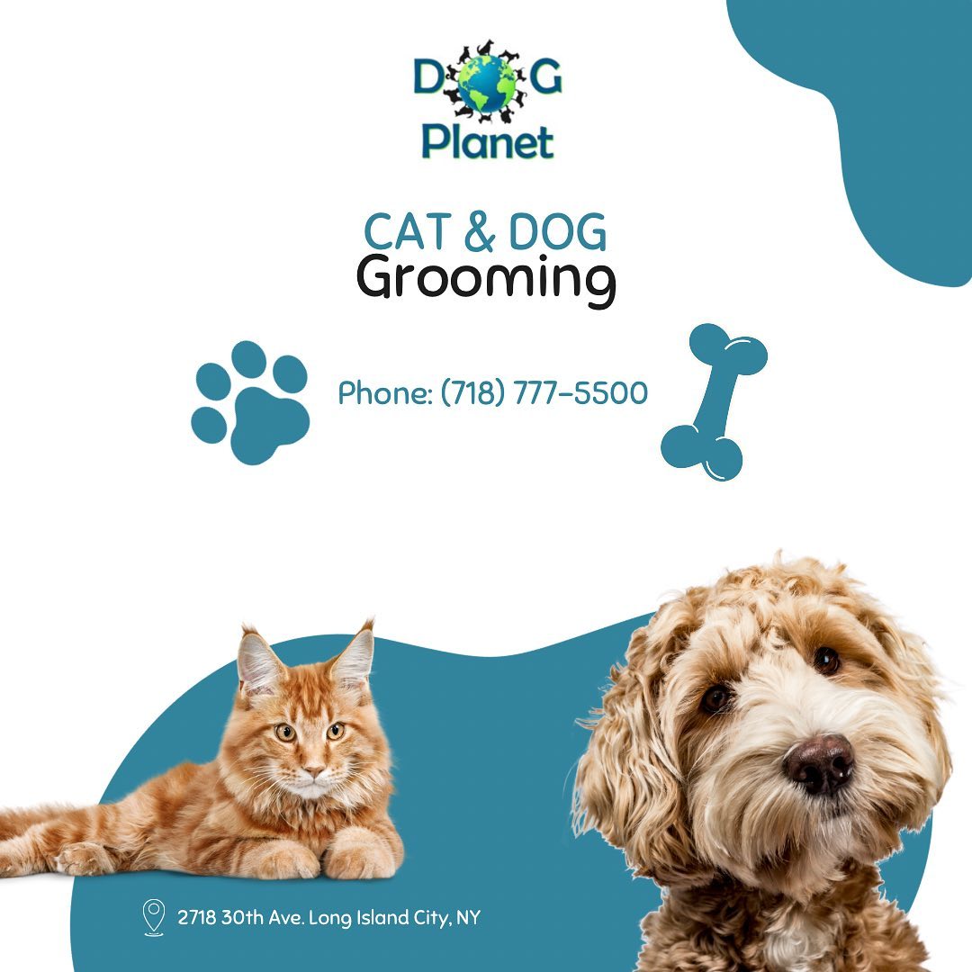 Dog Planet Grooming & Daycare Facebook ad: WHAT OTHER INDIVIDUAL GROOMING SERVICES DO WE OFFER?
