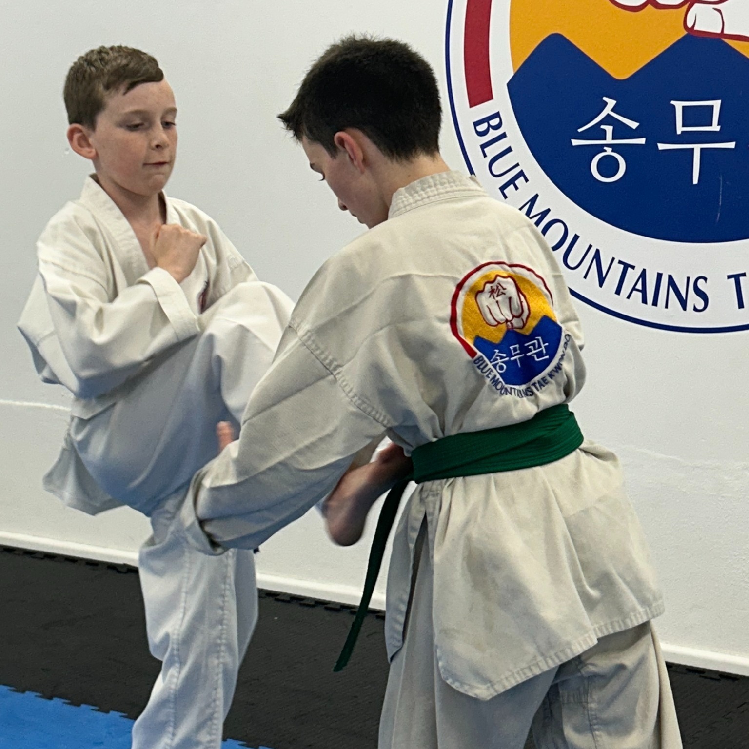 Blue Mountains Taekwondo Facebook ad