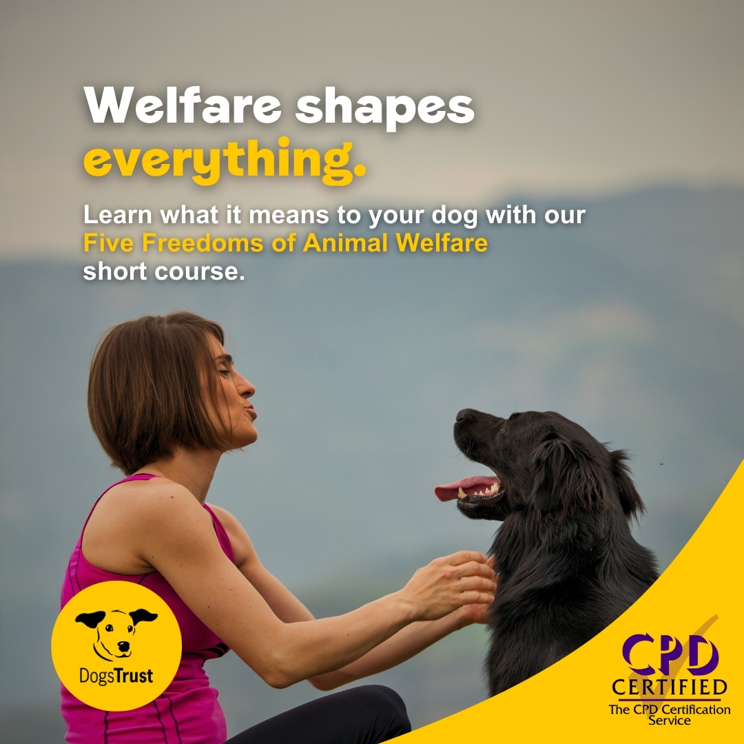 Dogs Trust Ireland Facebook ad: Sign up now and get €5 off >>