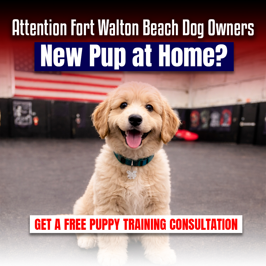 BTS K9 Dog Training Facebook ad